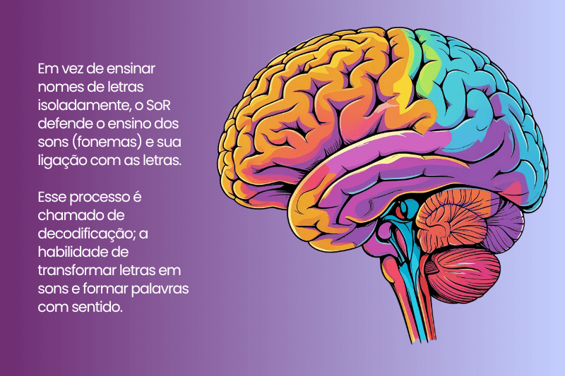 cerebro aprendendo ciencia da leitura explicado